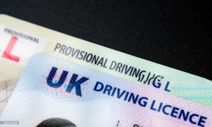 verify driving licence