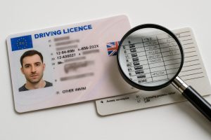 DVLA driving licence check