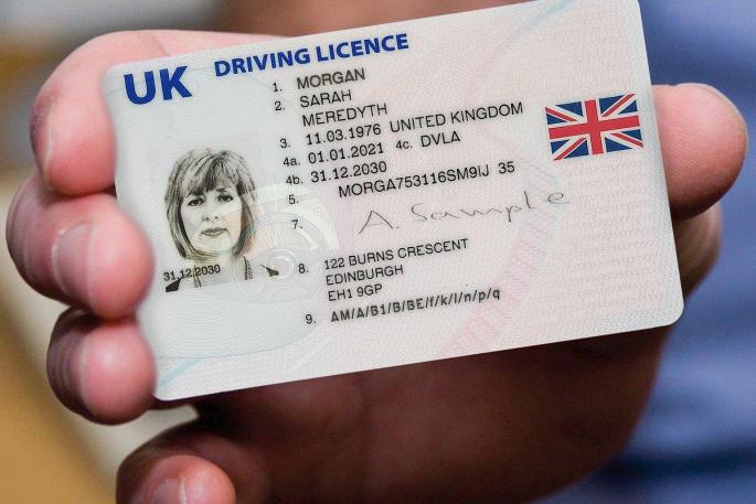 view driving licence