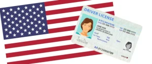 dvla check record