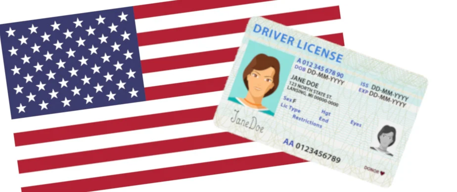 dvla check record