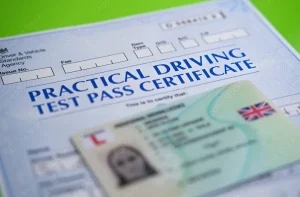 uk driving licence check code