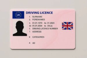 driving licence online application
