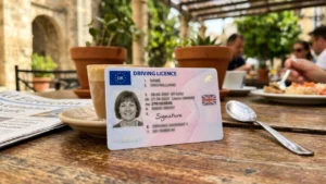 how to replace lost driving licence